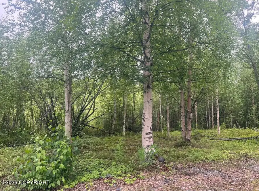 4768 S Horseshoe Lake Road, Big Lake, AK 99652 - #2