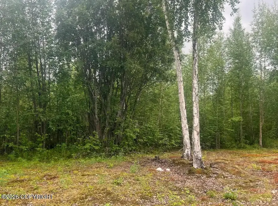 4768 S Horseshoe Lake Road, Big Lake, AK 99652 - #3