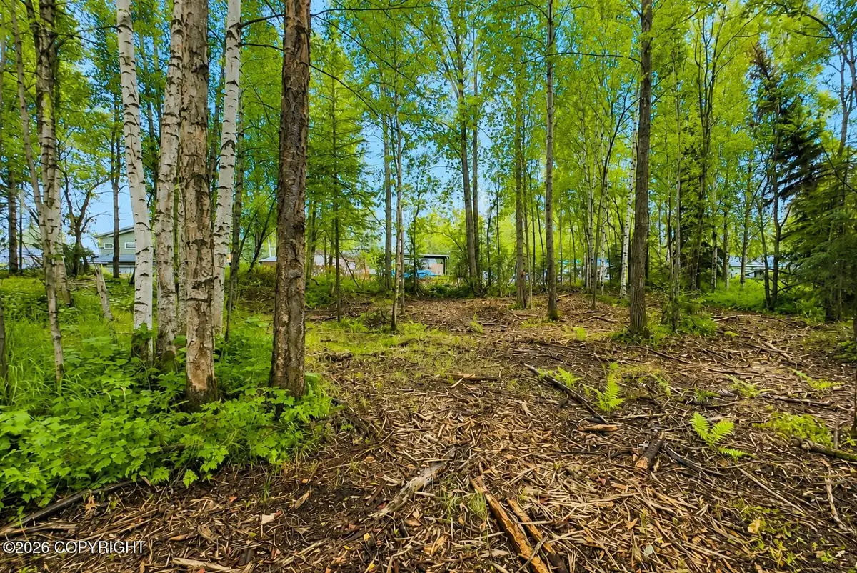 L4 Zurich Street, Anchorage, AK 99507 - #1