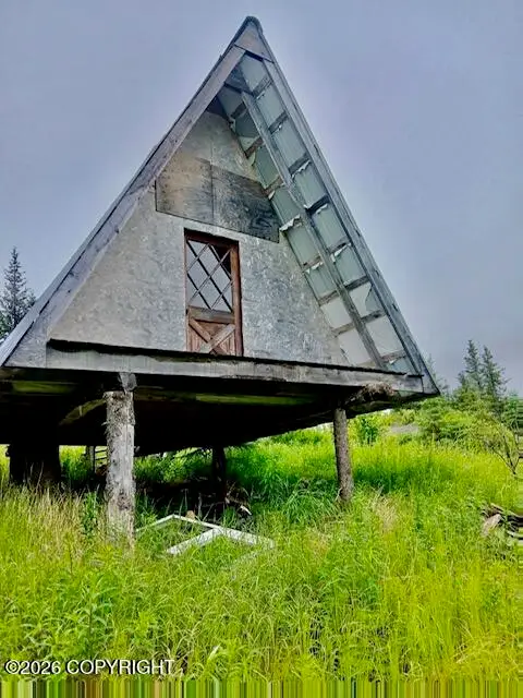 000 Caribou Homestead Lake L8 B3, Homer, AK 99603 - #3