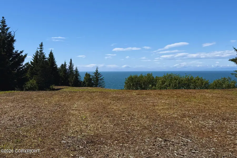 71033 Glud Court, Anchor Point, AK 99556 - #2
