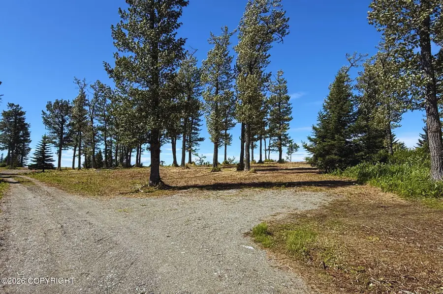 71033 Glud Court, Anchor Point, AK 99556 - #3