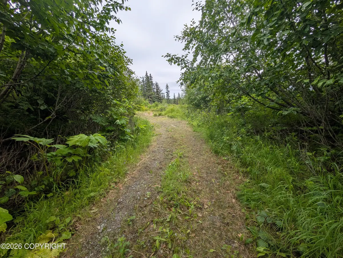 67118 Deep Creek Road, Ninilchik, AK 99639 - #1