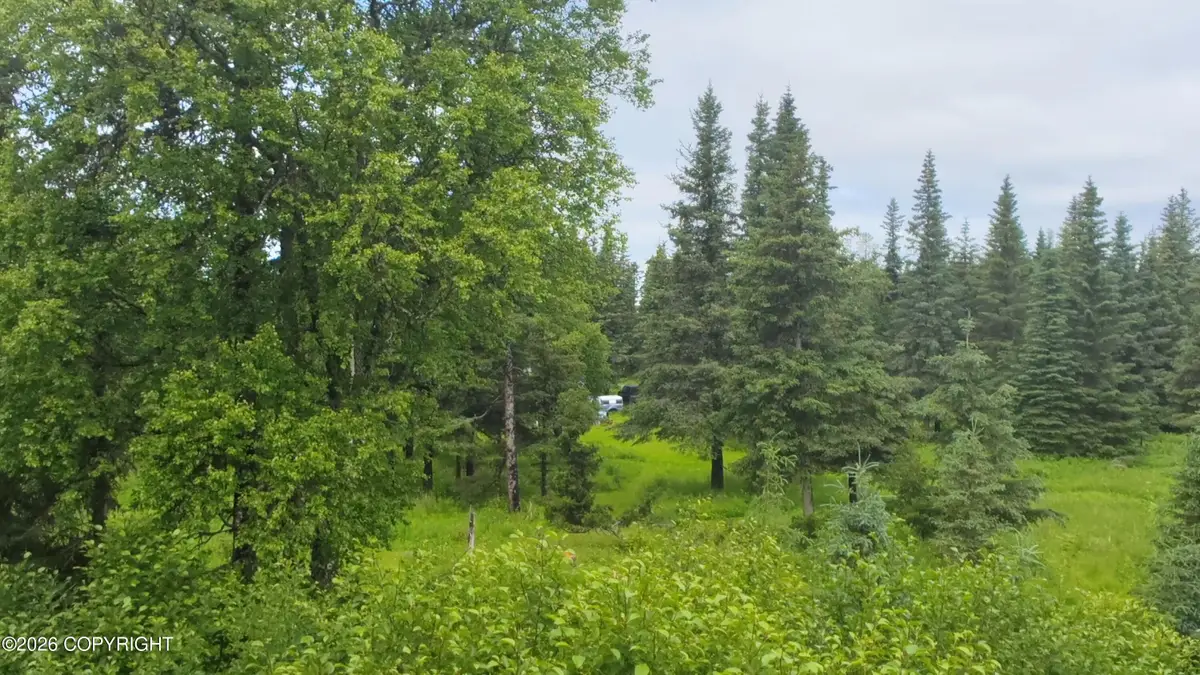 67164 Deep Crk Road, Ninilchik, AK 99639 - #1