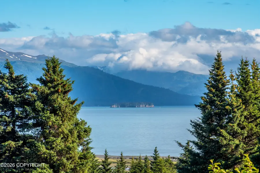 213 Lee Drive, Homer, AK 99603 - #3