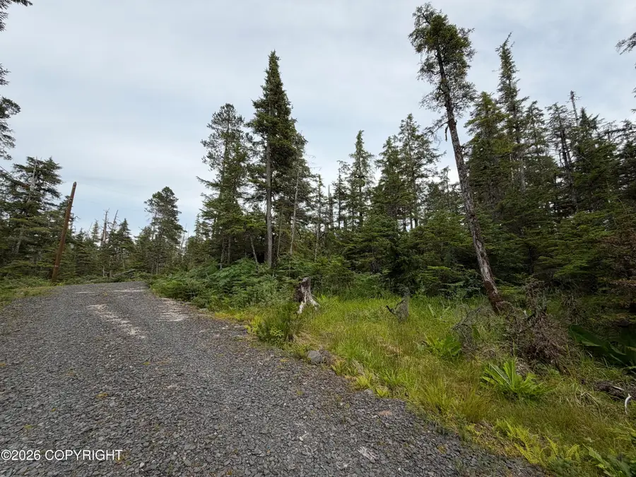 11 Aardal Lane, Petersburg, AK 99833 - #2