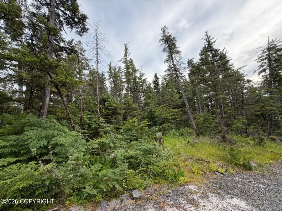 11 Aardal Lane, Petersburg, AK 99833 - #3