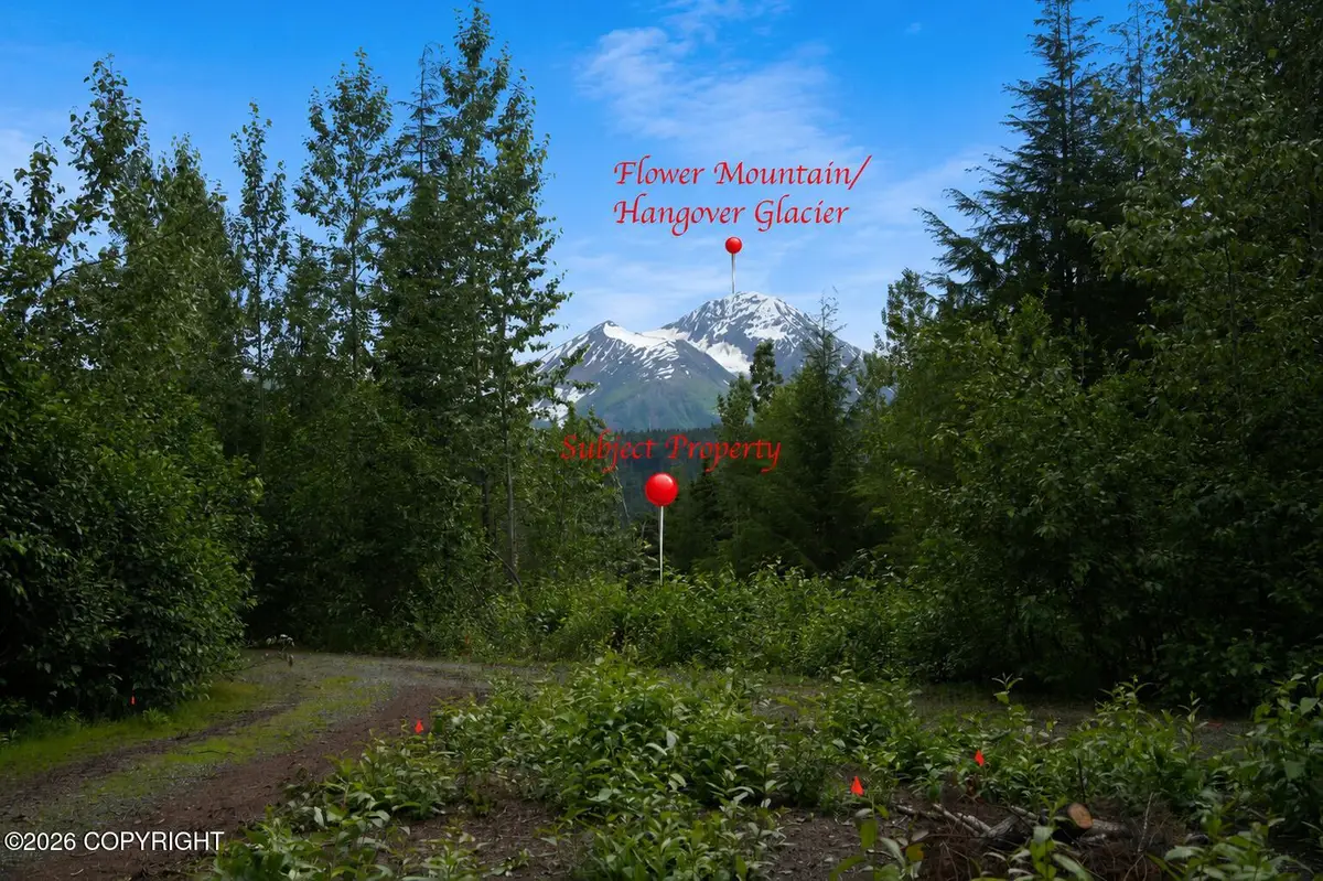 Lot 20 Buckeye Lane, Haines, AK 99827 - #1