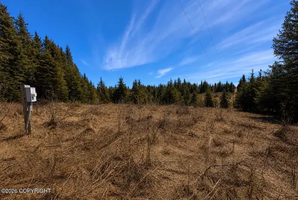 000 Twitter Creek Lane, Homer, AK 99603