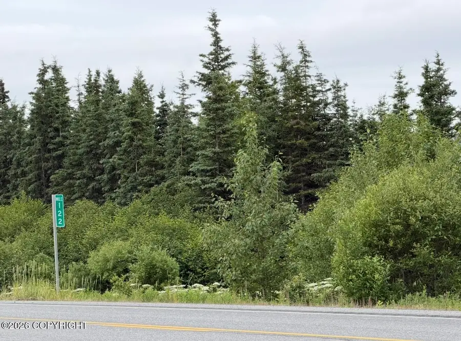 69076 Sterling Highway, Clam Gulch, AK 99568 - #3