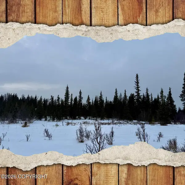 25645 Stinkbug Street, Anchor Point, AK 99556