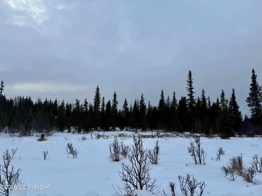 25645 Stinkbug Street, Anchor Point, AK 99556 - #2