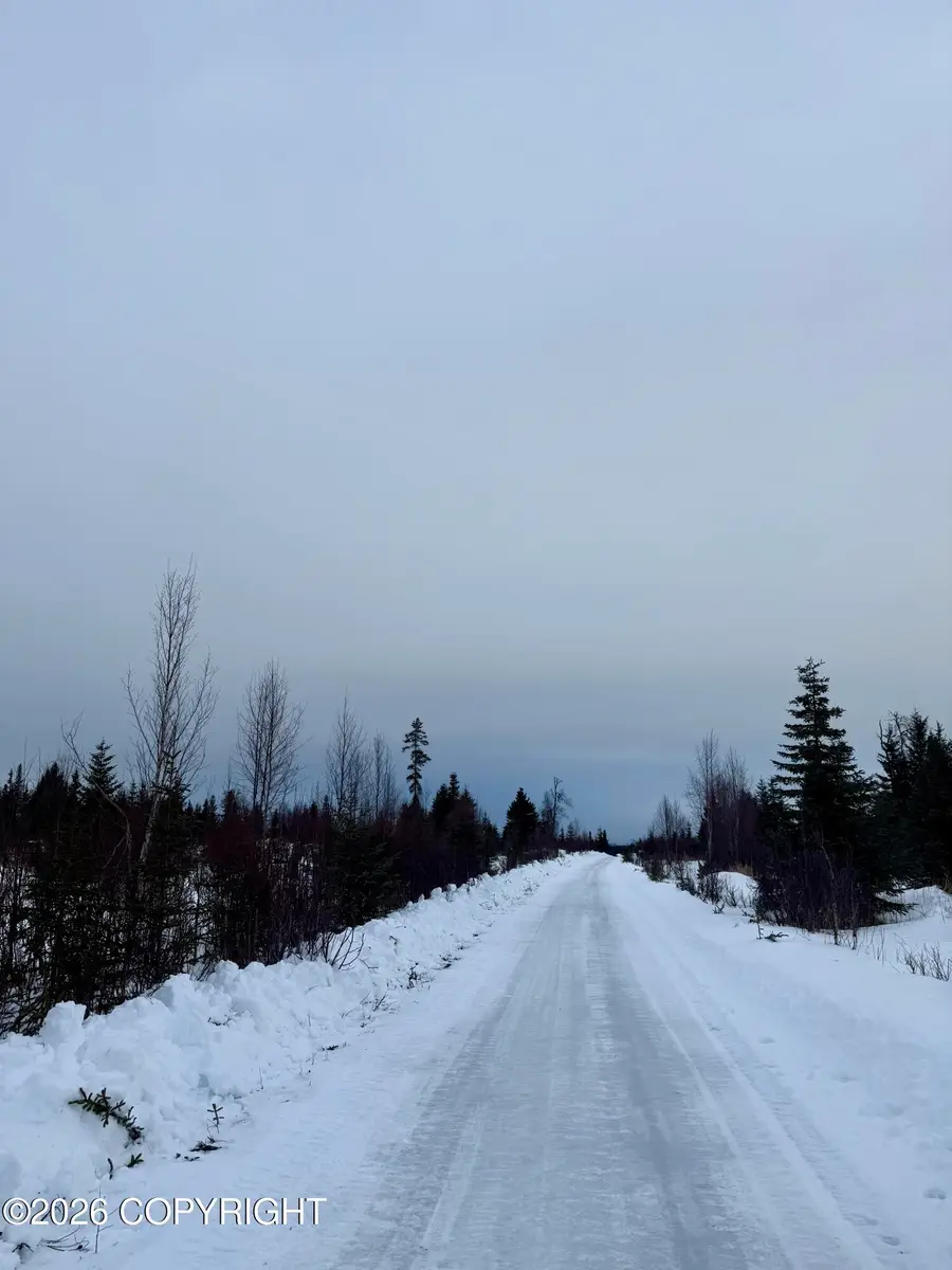 25645 Stinkbug Street, Anchor Point, AK 99556 - #3