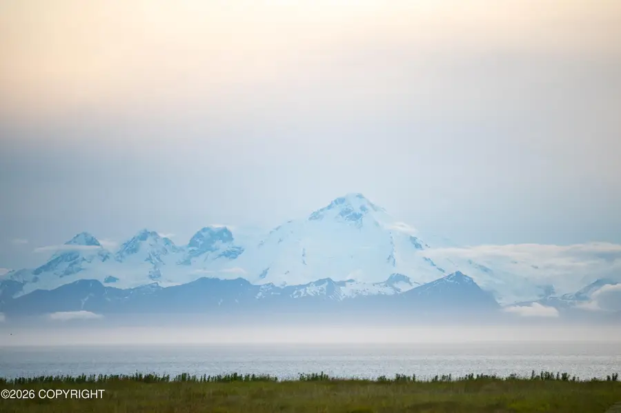 68600 Tim Avenue, Ninilchik, AK 99639 - #3