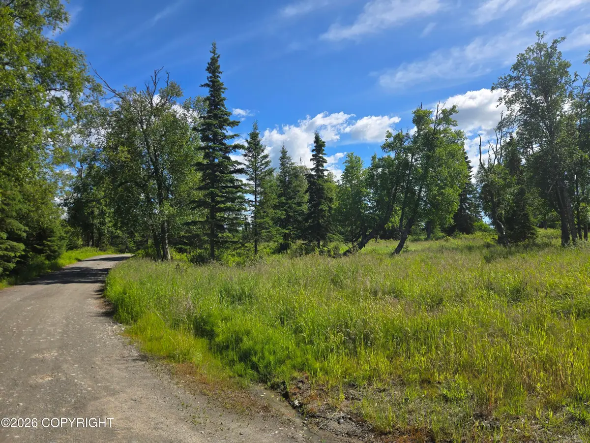 53347 Grindstone Avenue, Kasilof, AK 99610 - #1