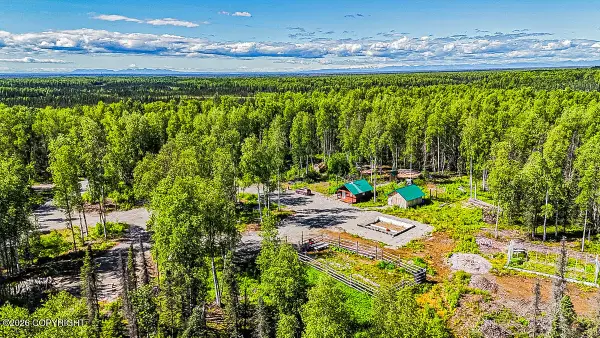 50915 S Caswell Creek Drive, Willow, AK 99688