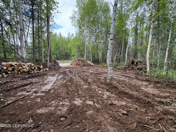 000 S Cutthroat Drive, Willow, AK 99688