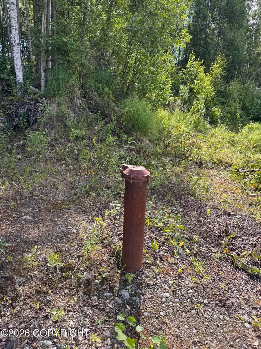 4852 S Kenaka Bena Loop, Big Lake, AK 99652 - #3