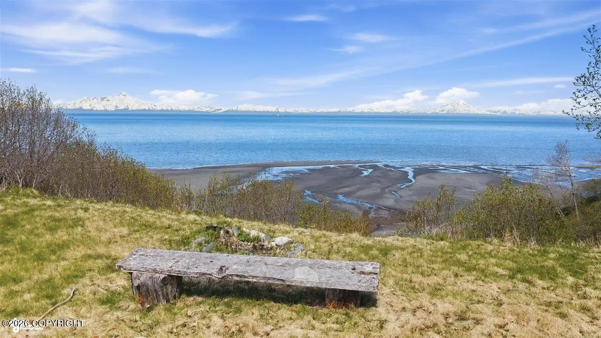 32905 Shorebird Lane, Anchor Point, AK 99556 - #1