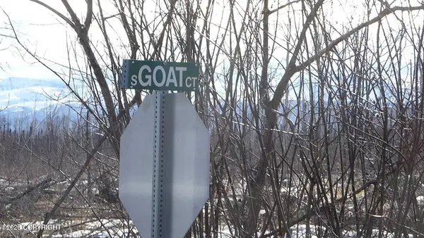 56731 S Goat Court, Willow, AK 99688