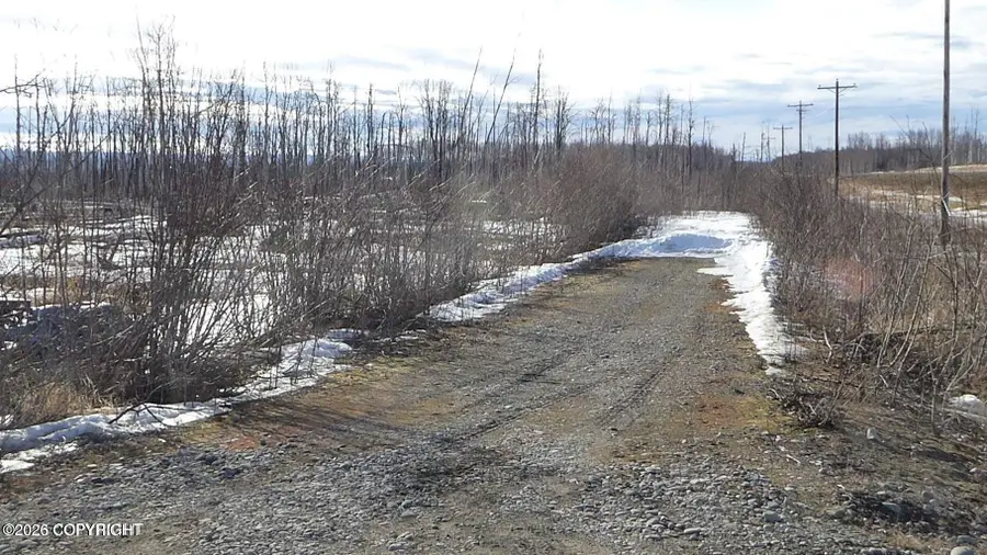 56731 S Goat Court, Willow, AK 99688 - #2