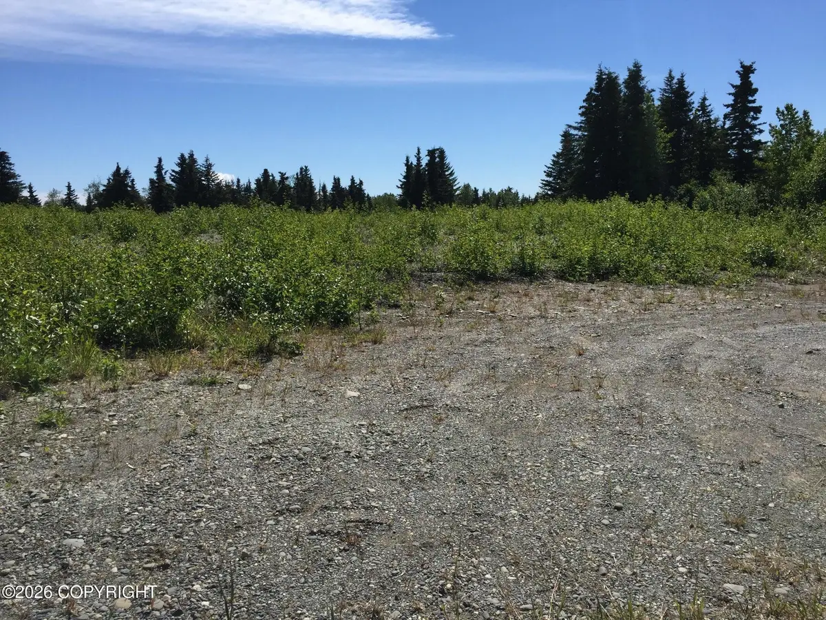 66417 Alder Avenue, Ninilchik, AK 99639 - #1