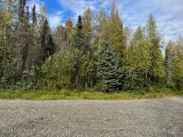 15785 E Greenleaf Drive, Talkeetna, AK 99676 - #1