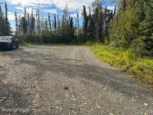 15785 E Greenleaf Drive, Talkeetna, AK 99676 - #2