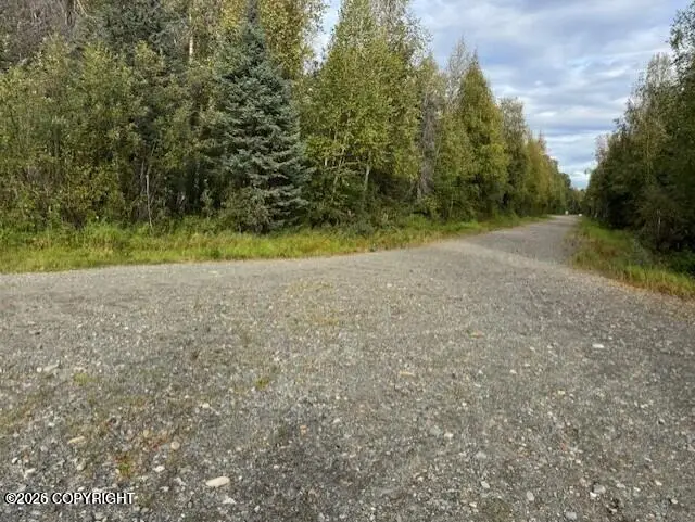 15785 E Greenleaf Drive, Talkeetna, AK 99676 - #3