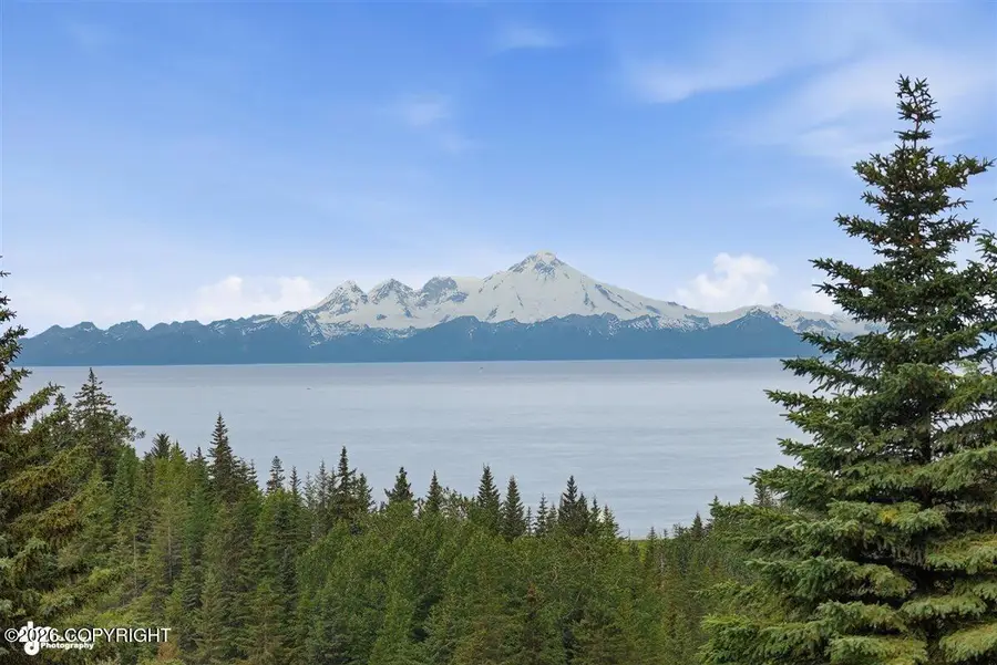 28180 Coastal Vista Circle, Anchor Point, AK 99556 - #3