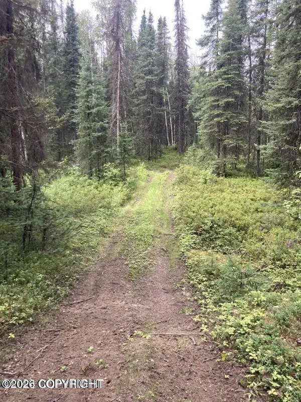 A003 N Kerrylynn Lane, Wasilla, AK 99623