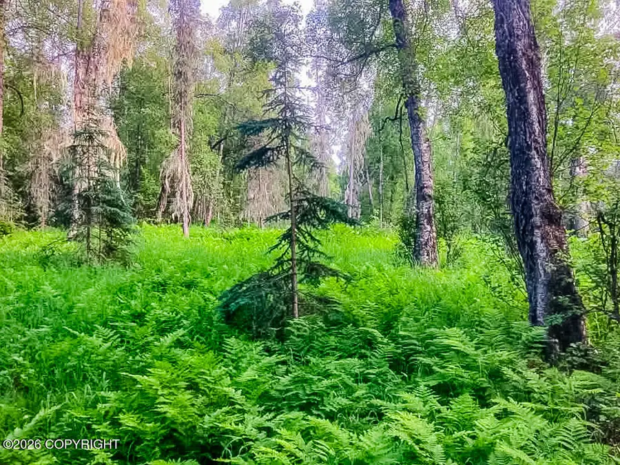 ASLS Papa Bear Lake Area, Talkeetna, AK 99676 - #2