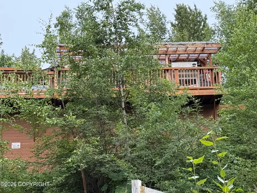 16995 W Lighthouse Drive, Big Lake, AK 99652 - #2