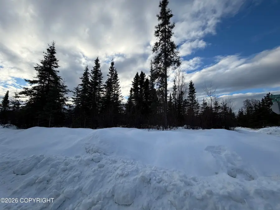 1117 Inlet Woods Drive, Kenai, AK 99611 - Image #2