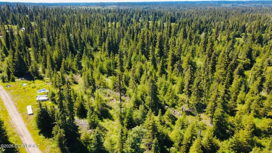 36110 Flintstone Street, Anchor Point, AK 99556 - #2