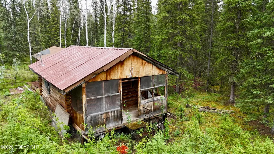 L10 B3 Mentasta Avenue, Tok, AK 99780 - #2