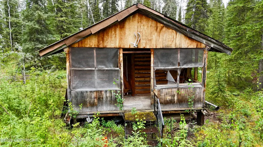 L10 B3 Mentasta Avenue, Tok, AK 99780 - #3