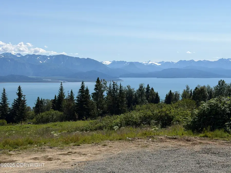 36606 Hammock Circle, Homer, AK 99603 - #2