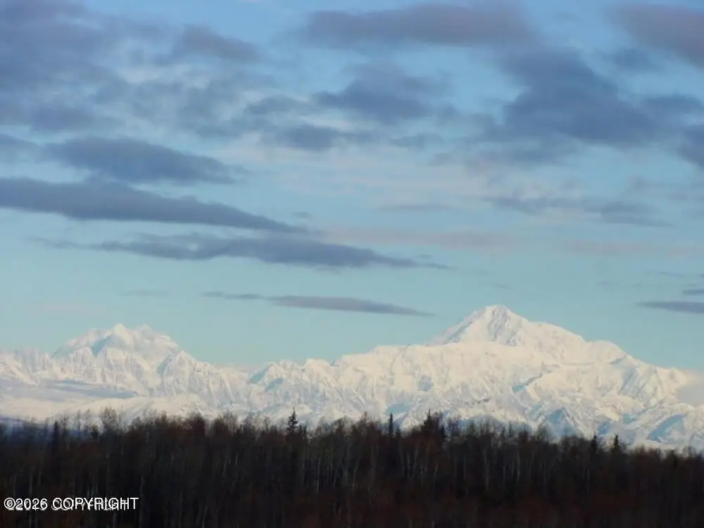 35568 S Malaspina Loop, Talkeetna, AK 99676 - #1