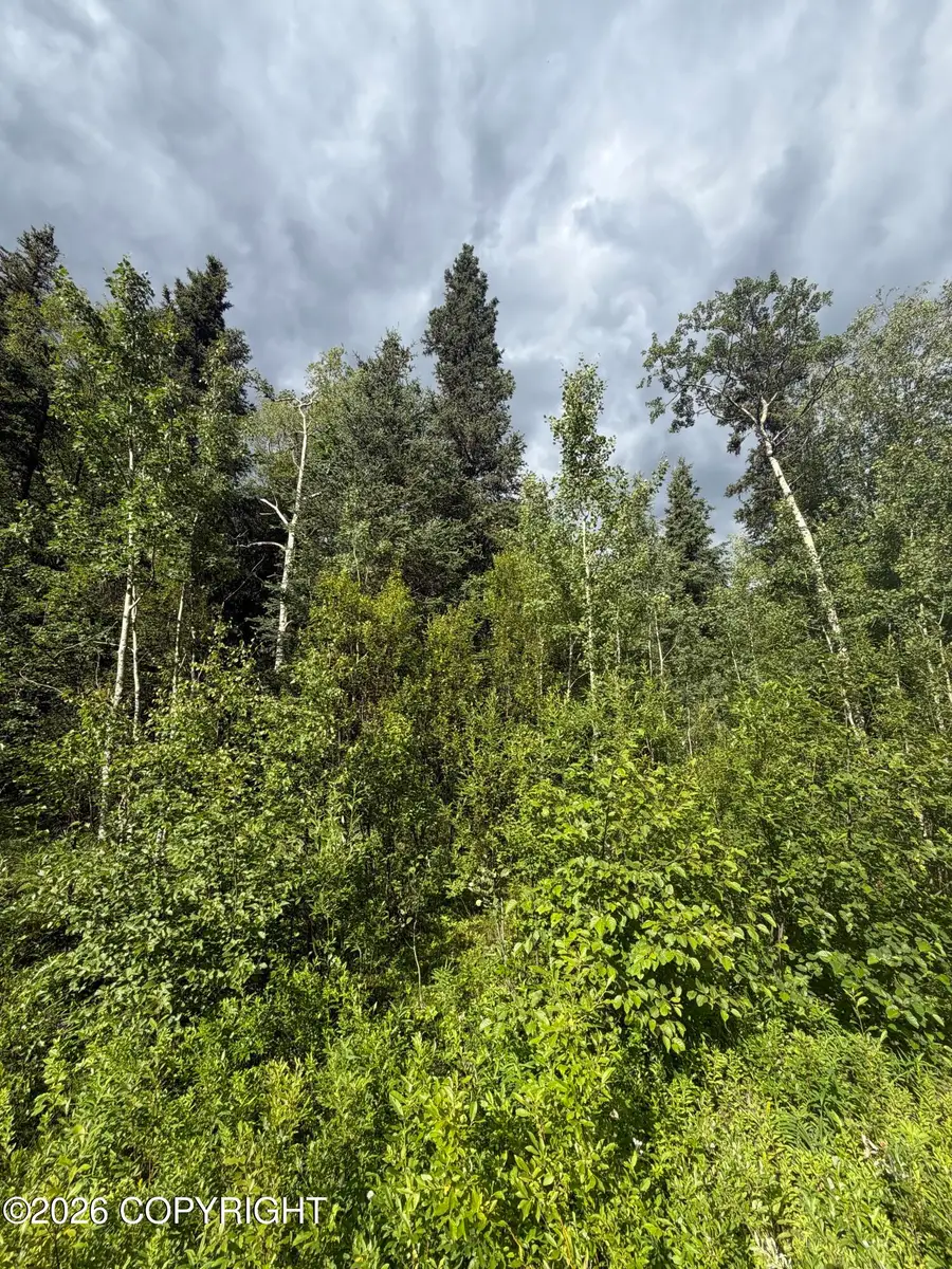 40676 Seward Highway, Moose Pass, AK 99631 - #3