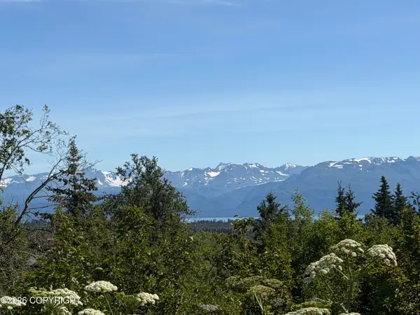 57715 Abbas Court, Homer, AK 99603