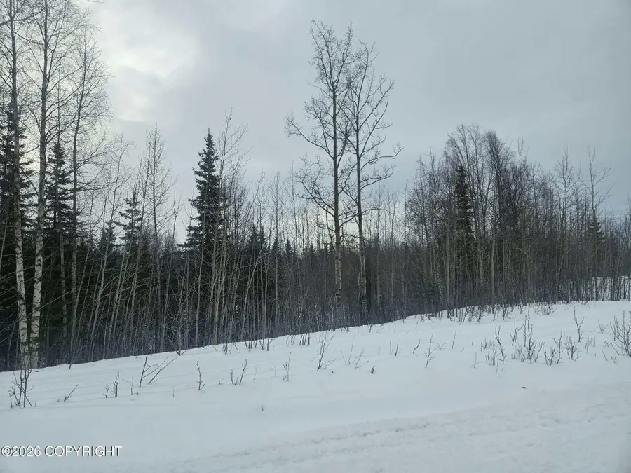 Tract V-1A Ten Mar Avenue, Sterling, AK 99672 - Image #3