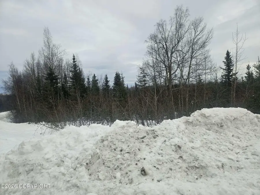 L1 Calla Lilly Court, Sterling, AK 99672 - Image #3