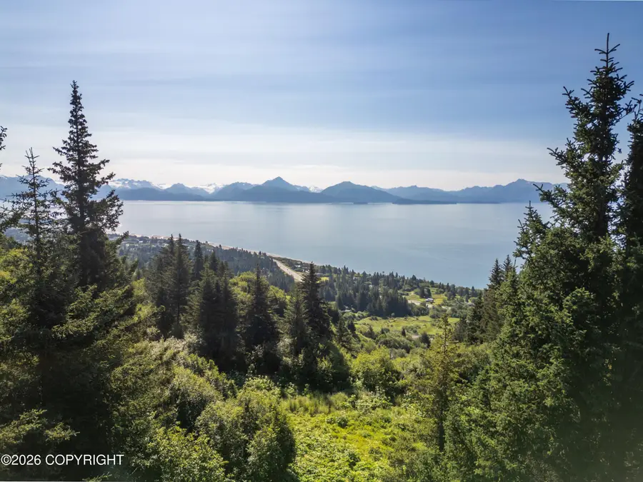 4352 S Park Circle, Homer, AK 99603 - #2