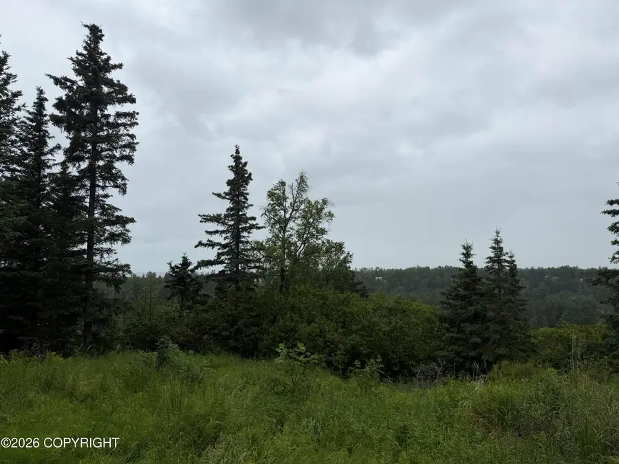 16502 Happy O Avenue, Ninilchik, AK 99639 - #3