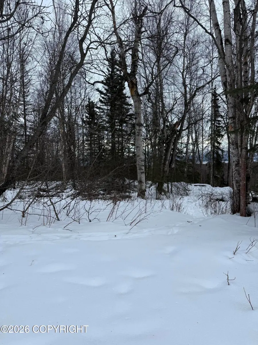 L2 Redington Estates, Wasilla, AK 99623 - Image #3