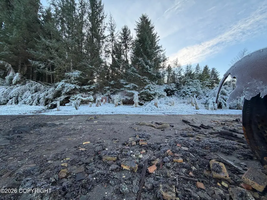 Lot 1 Kuiu Island, Prince Of Wales, AK 99000 - #3