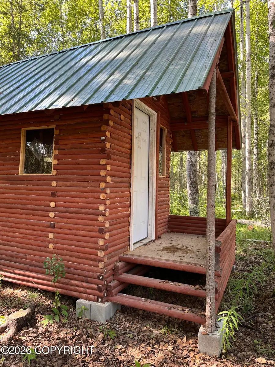 20224 E Twentyinch Avenue, Willow, AK 99688 - #2
