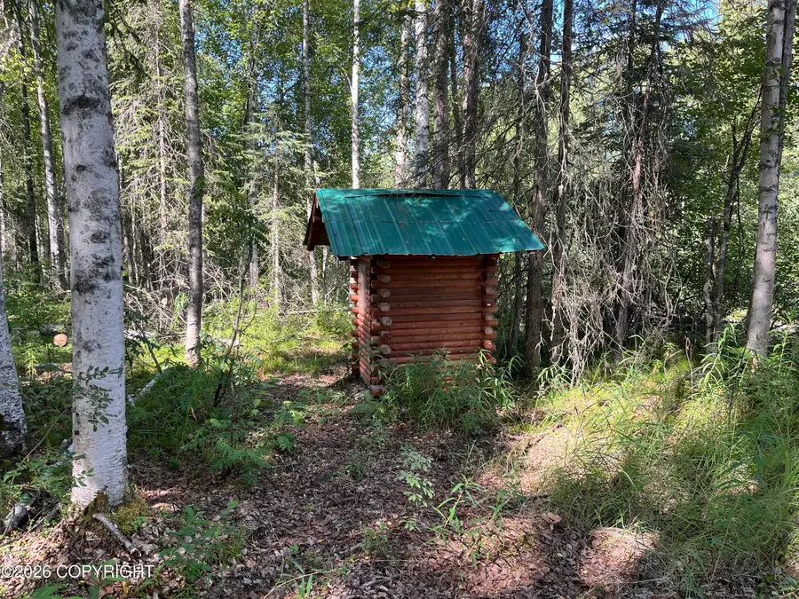 20224 E Twentyinch Avenue, Willow, AK 99688 - #3