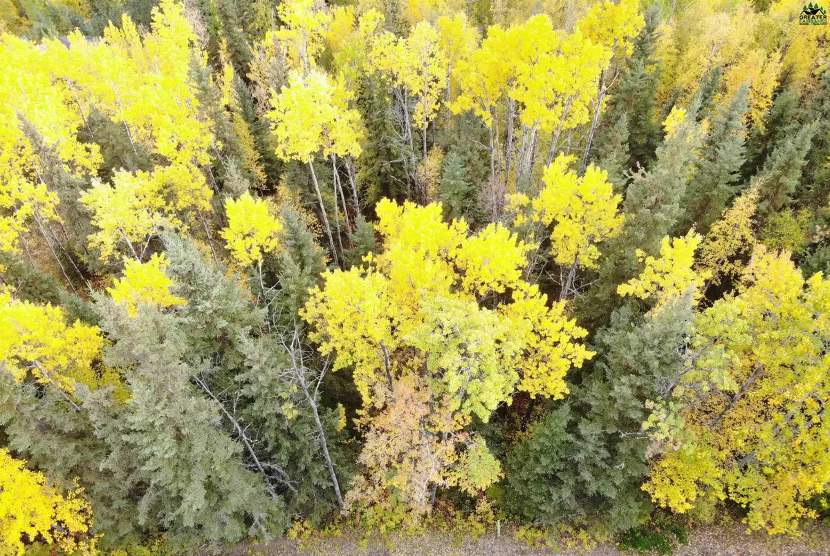 1452 BIRCHWOOD DRIVE, Fairbanks, AK 99709 - #1